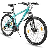 Hiland 29 Zoll Mountainbike Rad Mountain Bike...